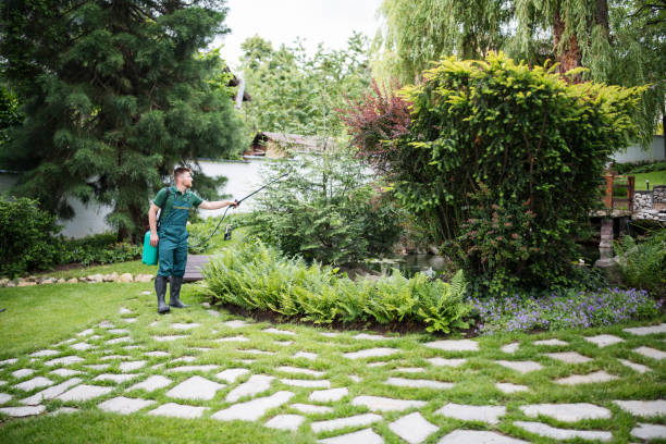 Best Best Pest Control Companies  in Scanlon, MN